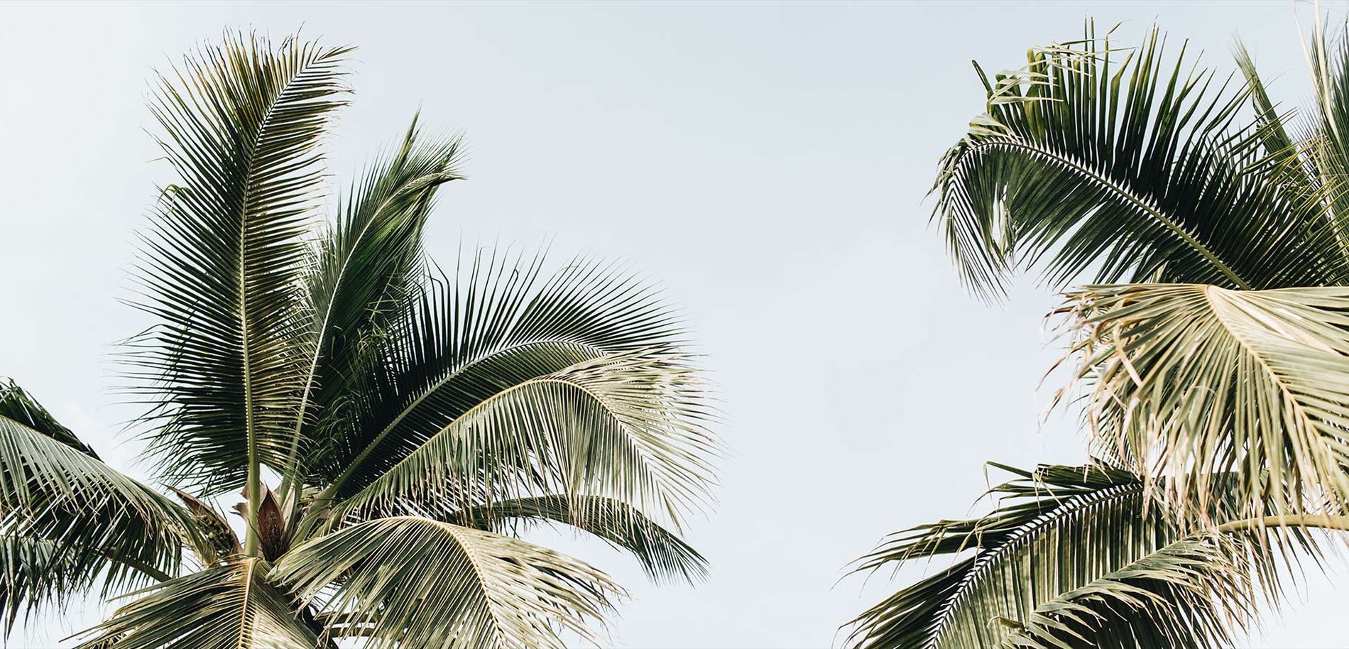 Bay Breeze Apartments